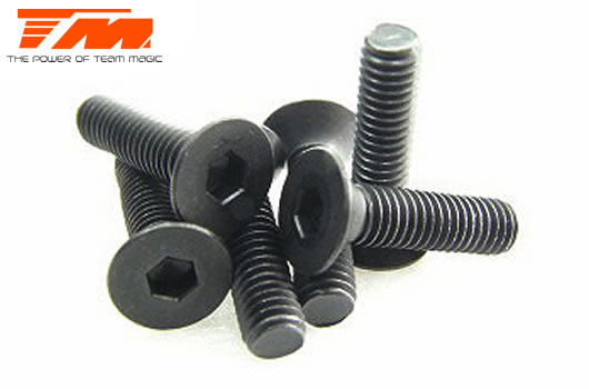 3x12mm Steel F.H. Screw (6)