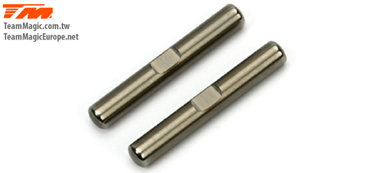 E4J Rear Lower Outer Hinge Pin (2)